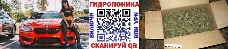 Бошки марихуана планчик  Купить  Донецк 